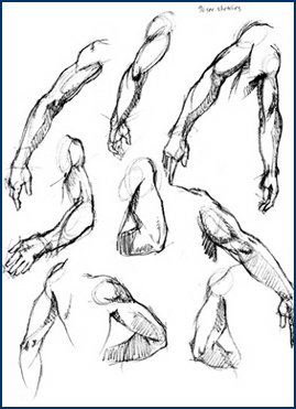 "Studies of the Arm" by Michael Jensen, Class of 2005, Charcoal.