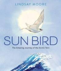 Cover of Sun Bird