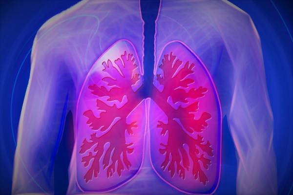Lung Cancer Scan Lung Cancer Scan