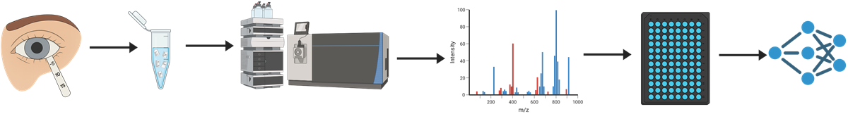 The imagery explains that tear film is a thin (2-6 µm) multi-layer fluid that coats the corneal and conjunctival epithelia. The proximity of the tear film to the ocular milieu, the non-invasive nature of its collection and its high protein concentration make it an attractive source for proteomic biomarker studies. We have developed a new workflow for proteomic analysis of tear fluid samples obtained with Schirmer strips that can identify over 3000 proteins in tear samples from human subjects. We plan to collect a large number of tear samples using a standardized method and then, develop a reference tear proteomic database to prioritize, integrate, and analyze potential biomarkers. This will provide a readily accessible and permanent resource, fostering collaboration between laboratories to expand and improve the database. It is also likely that this database will help the vision research community to understand the physiological and pathological proteomic signatures in tear fluid.