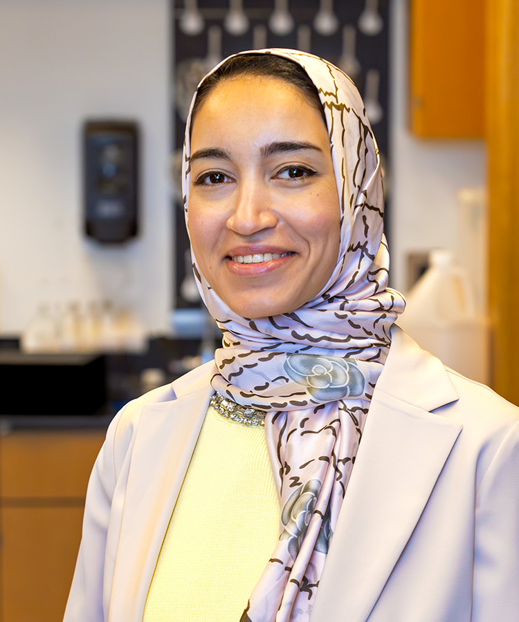 photo of Alaa Khalifa, PhD