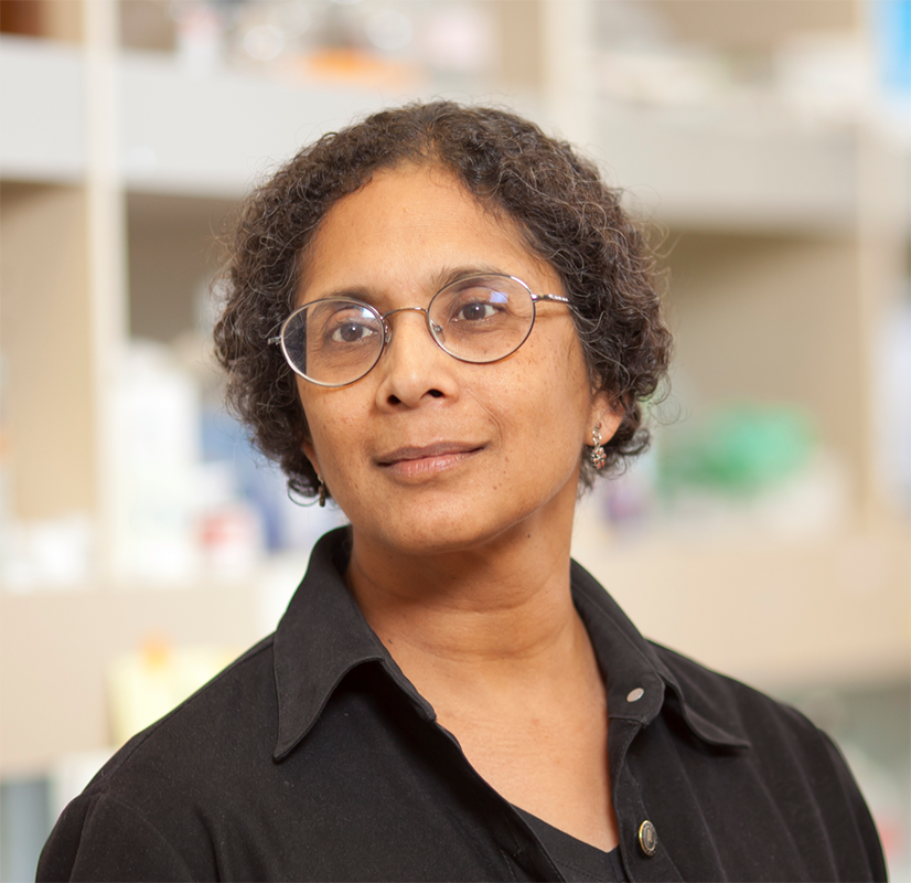 A female scientist standing in a lab