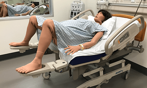 photo of Lucina Birthing Simulator