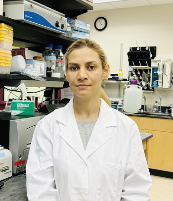 photo of Maryam Rezaei Gazik, PhD