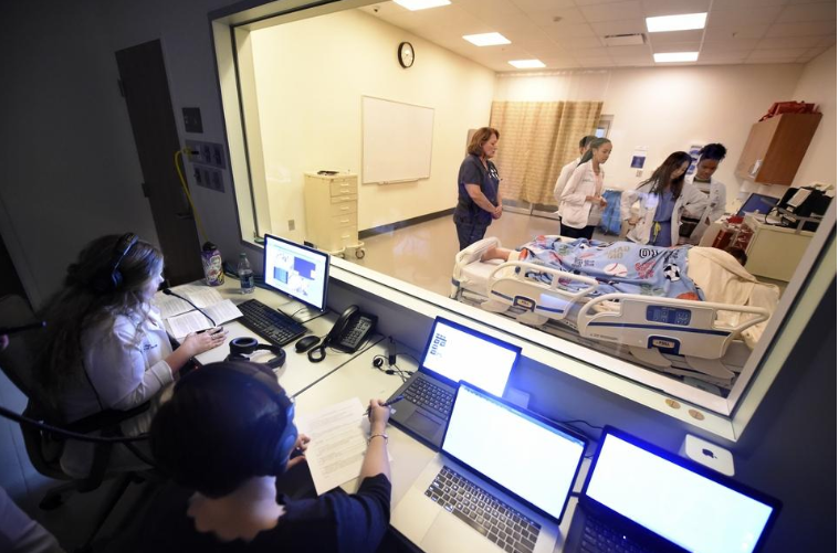 edu. sim image
