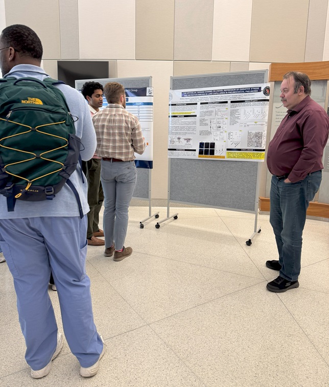 Research Day