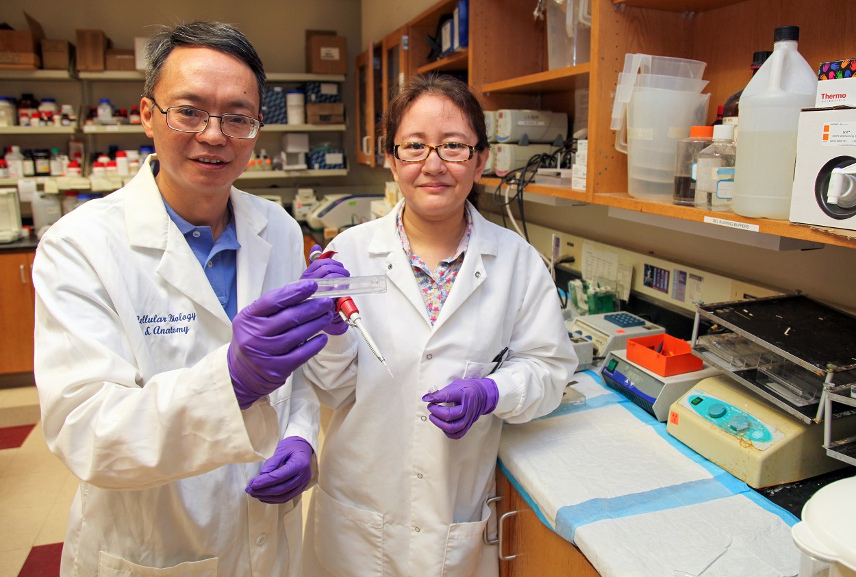 Dr. Zheng Dong in Lab