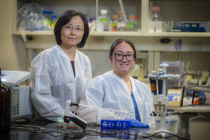 Dr. Qin Wang and Augusta University graduate student Mae Aida.