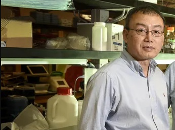 Lin Gan