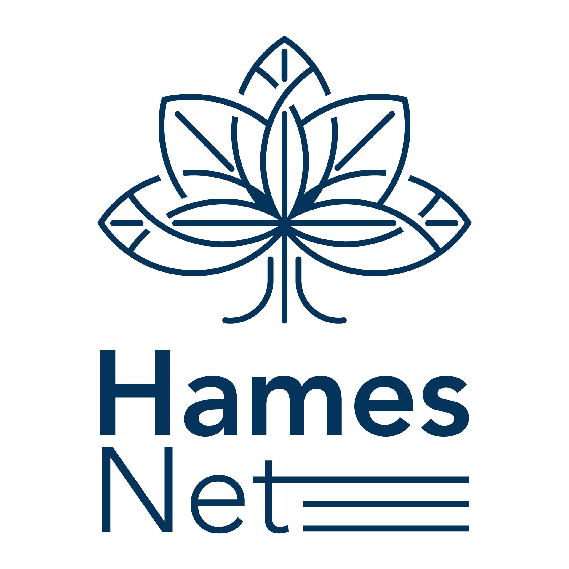 HamesNet Leaf