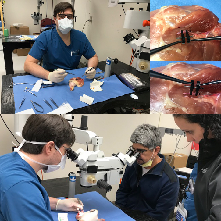 microsurgery image