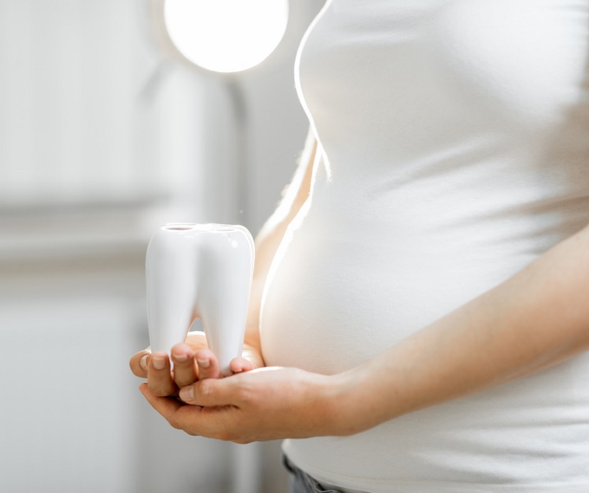 pregnant woman holds a small model of a tooth
