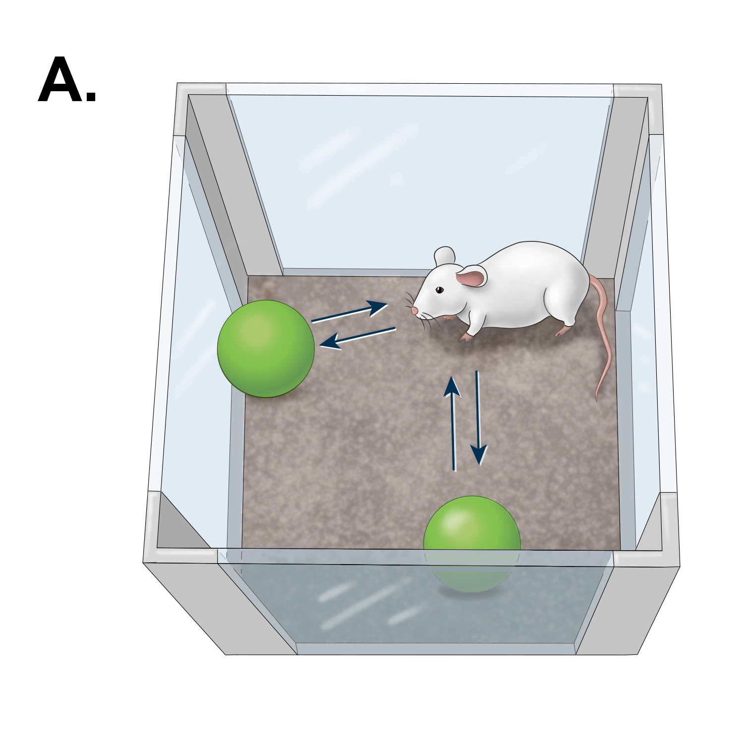 Object recognition: two green balls