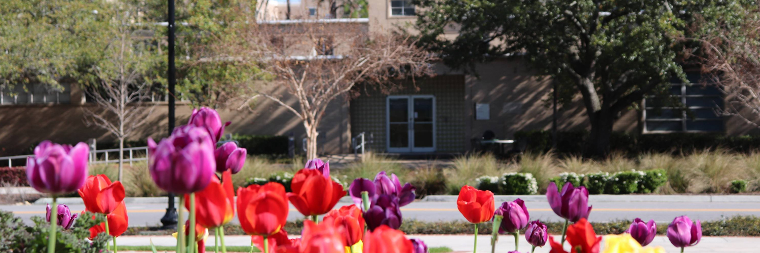 Photo of front of Pavilion II building and flowers