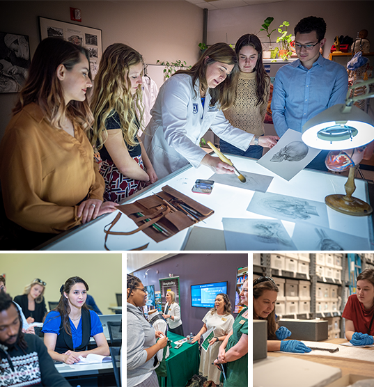 Collage of Workforce Development
