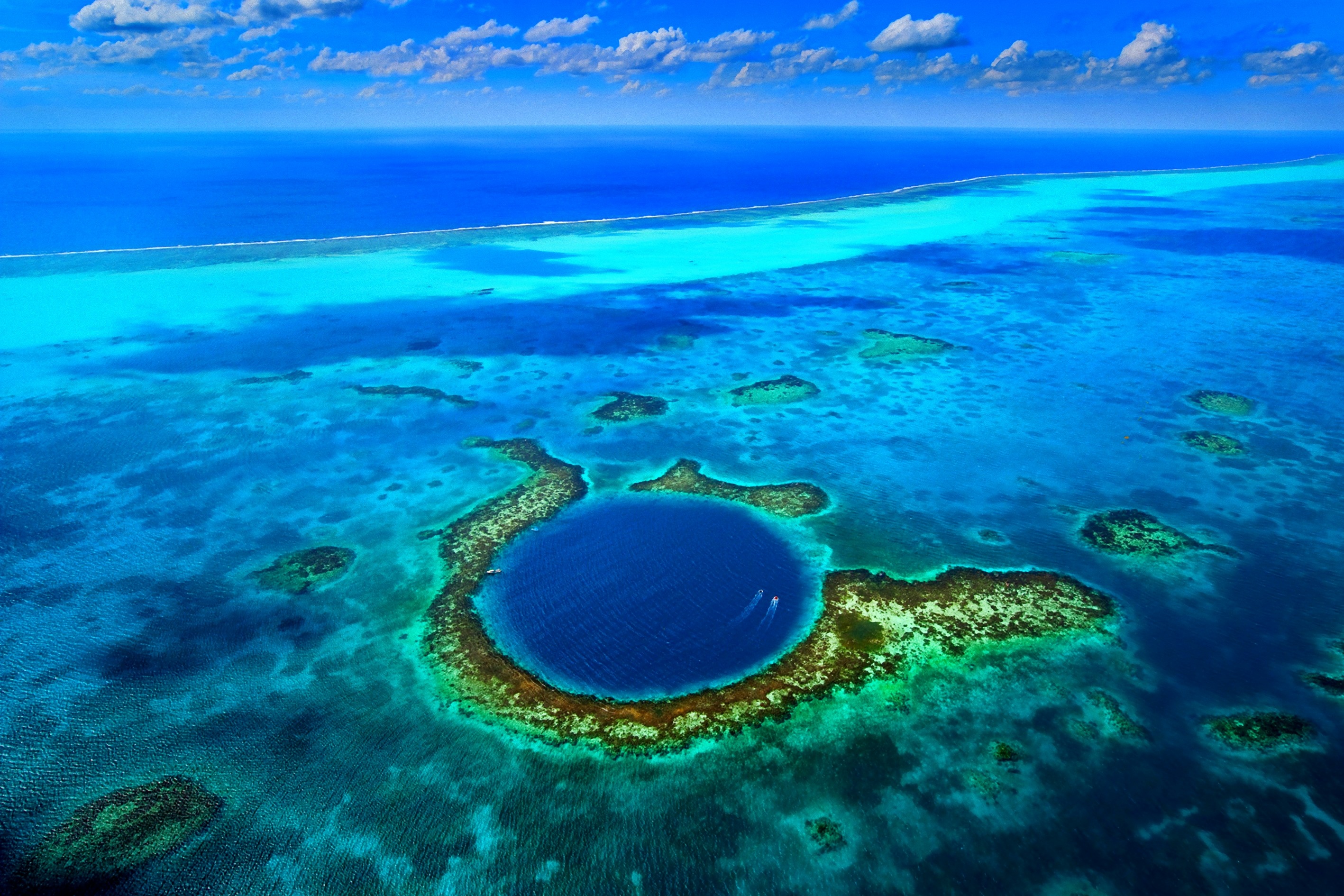 expansive ocean overview