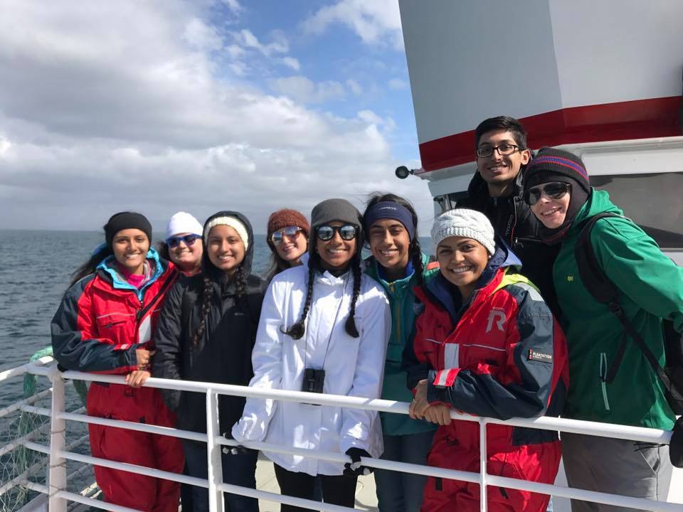 students on a boat whalewatching